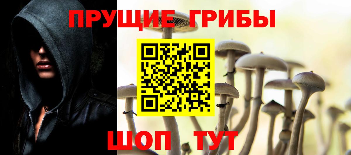 Псилоцибиновые грибы ЛСД  Галлюциногенные грибы мухоморы  как найти наркотики  Вольск  Вход с VPN 
